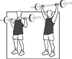 Starting Strength Novice Program